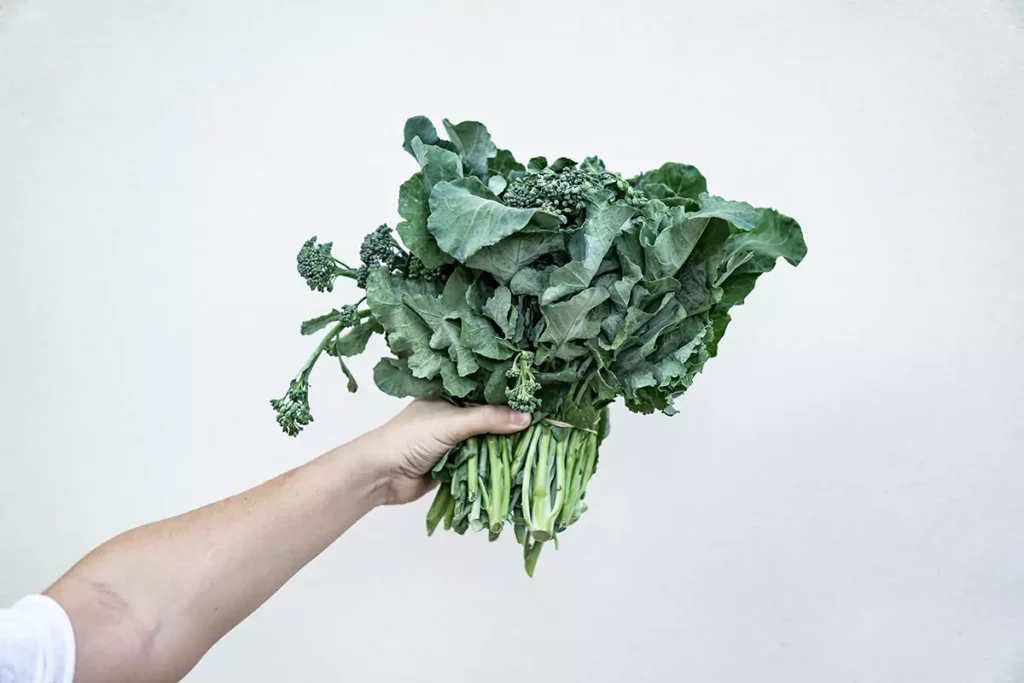 prepare broccoli rabe, cooking rapini, reduce rapini bitterness