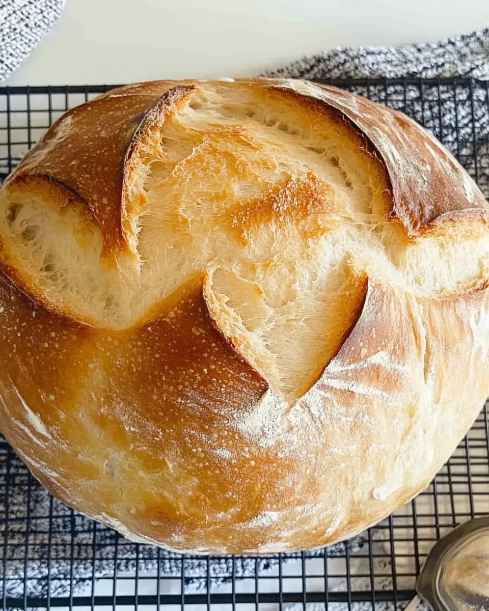 Speedy Same Day Sourdough Bread