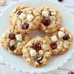 Oatmeal Cranberry Cookies